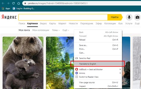 yandex search image|yandex image lookup.